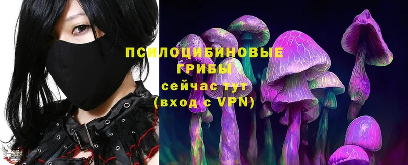 Псилоцибиновые грибы Magic Shrooms  наркота  Поронайск 